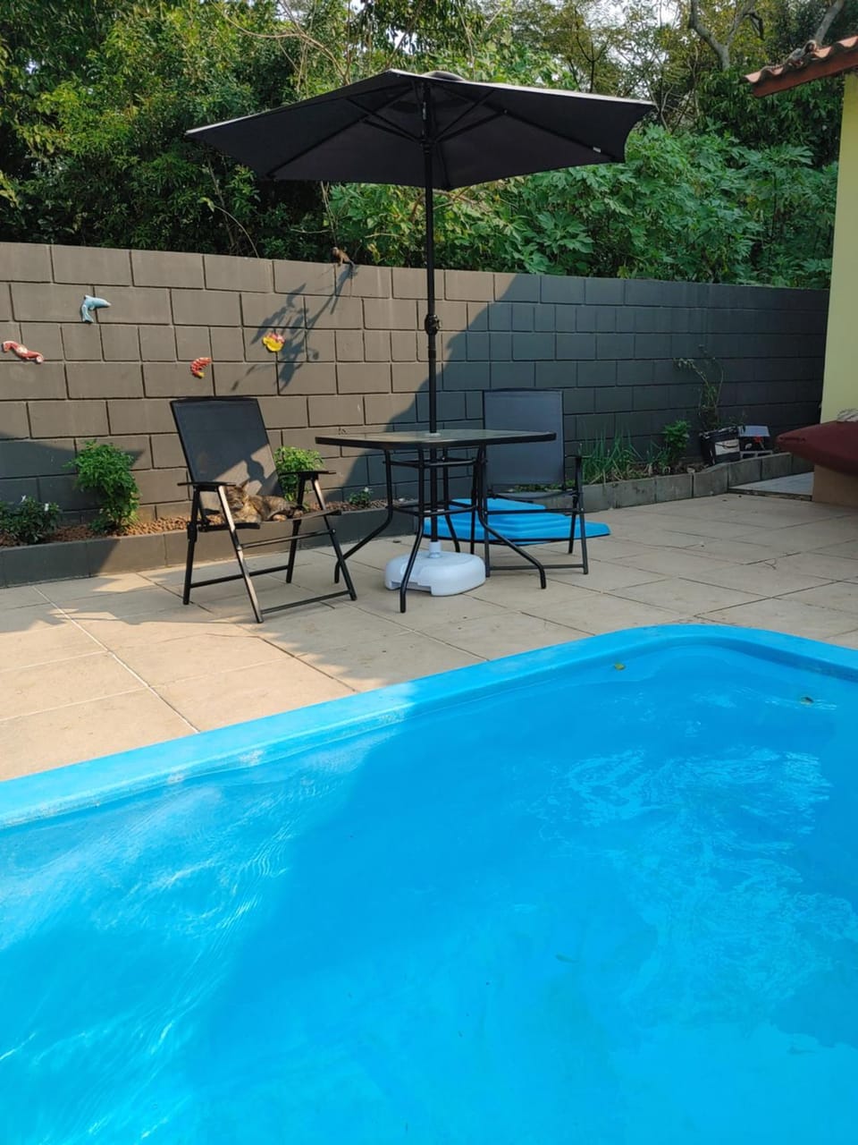 Pool view