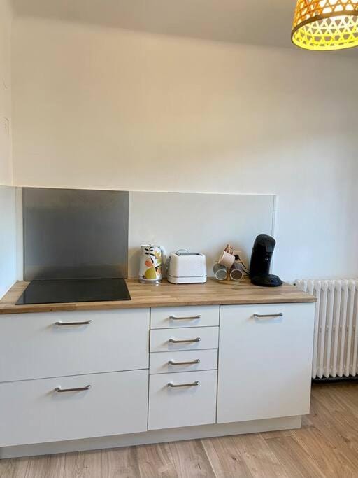 Vaste Appartement Rénové - Centre Ville Apartment in Auvergne-Rhône-Alpes
