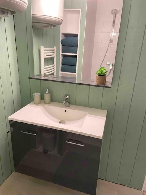 Vaste Appartement Rénové - Centre Ville Apartment in Auvergne-Rhône-Alpes