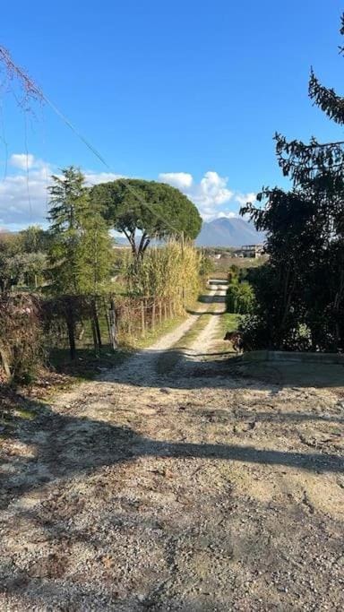 Casa nel verde a Monterotondo Villa in Lazio