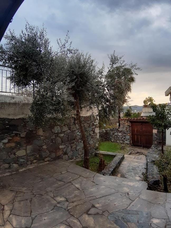 Day, Garden