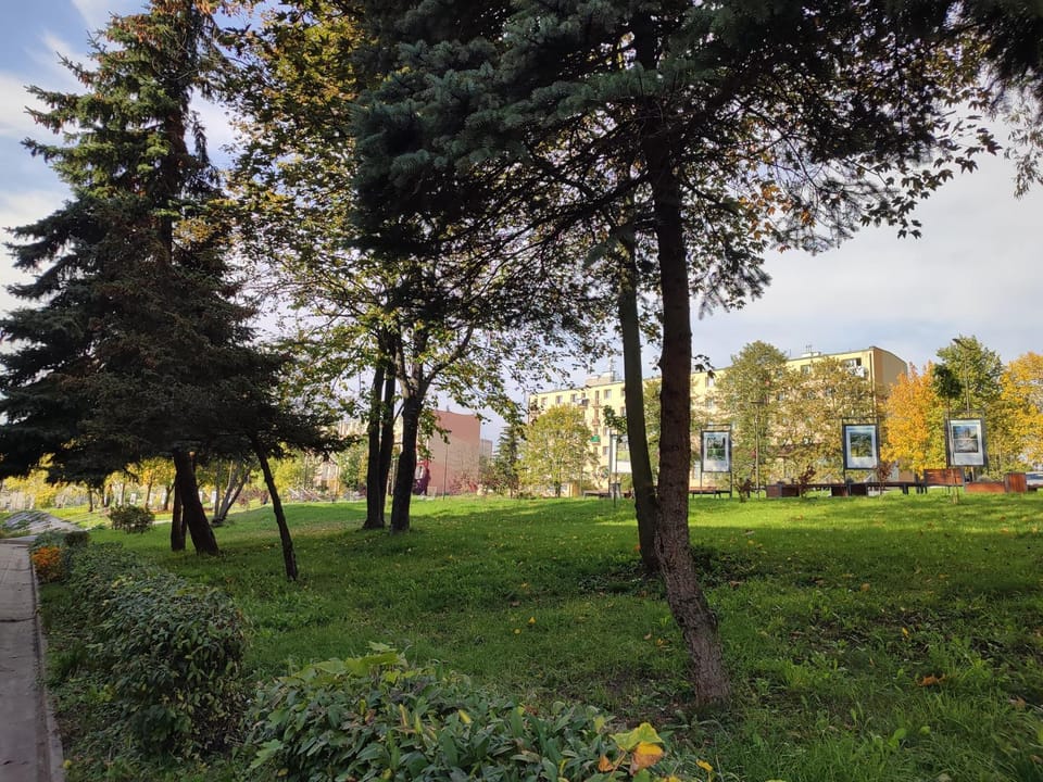Natural landscape, Garden, Garden view