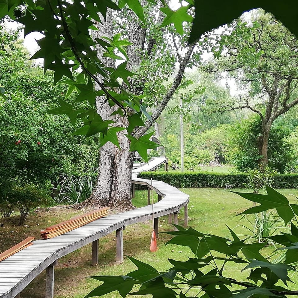 Natural landscape