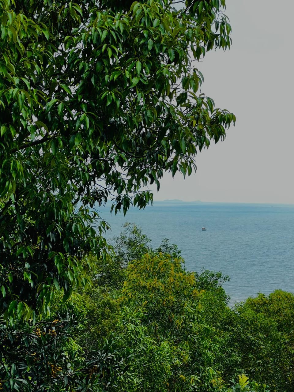 Day, Sea view