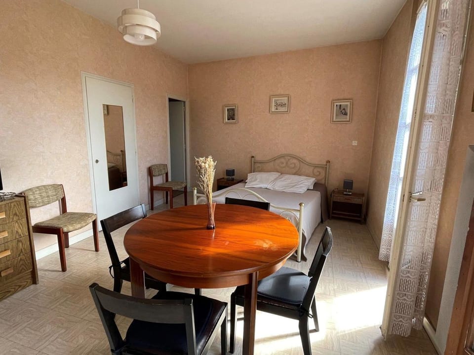 Spacieux studio centre-ville, animaux acceptés - FR-1-555-79 Apartment in Aix-les-Bains