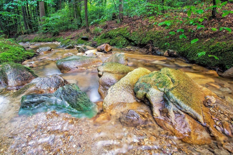 Natural landscape