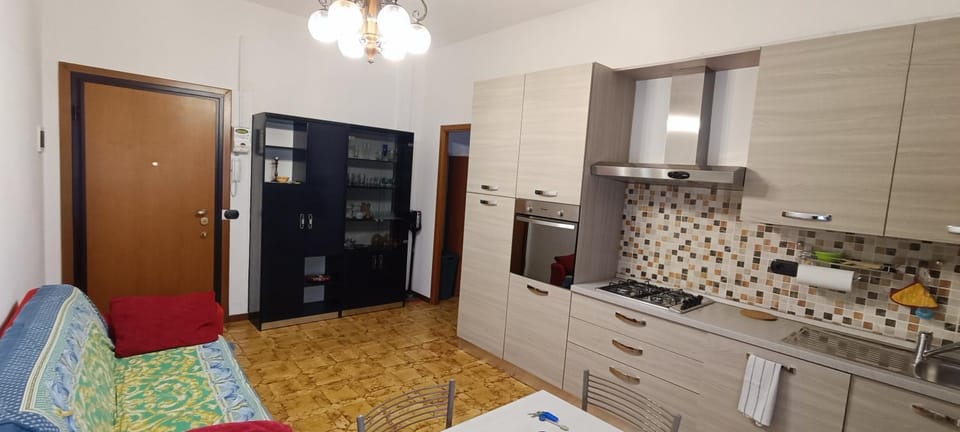 Kitchen or kitchenette, dishwasher, minibar, pet friendly