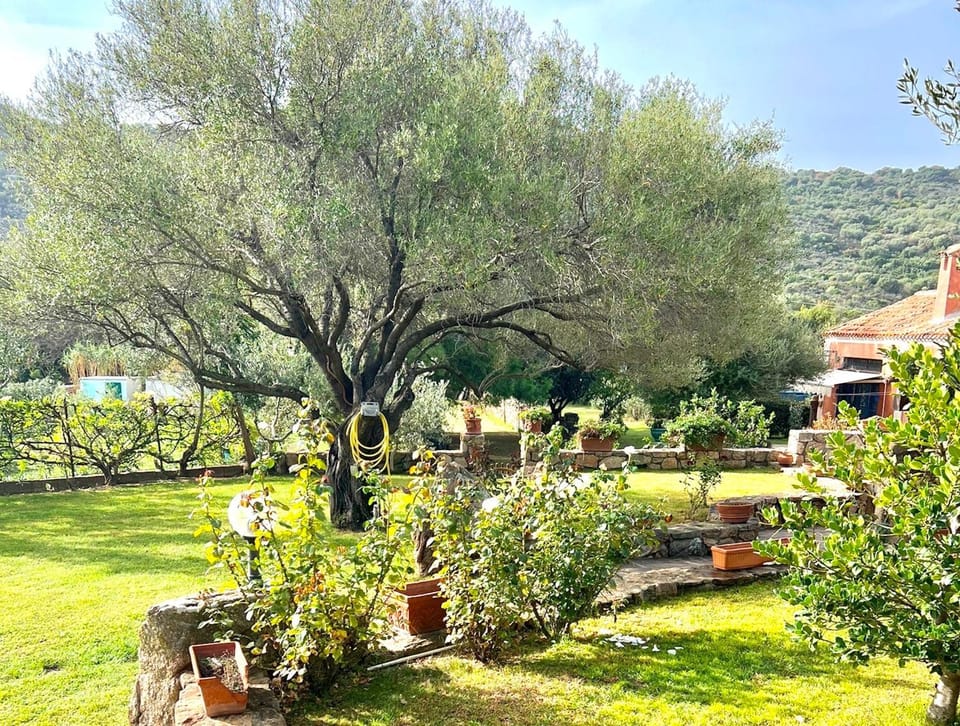 Garden, Garden