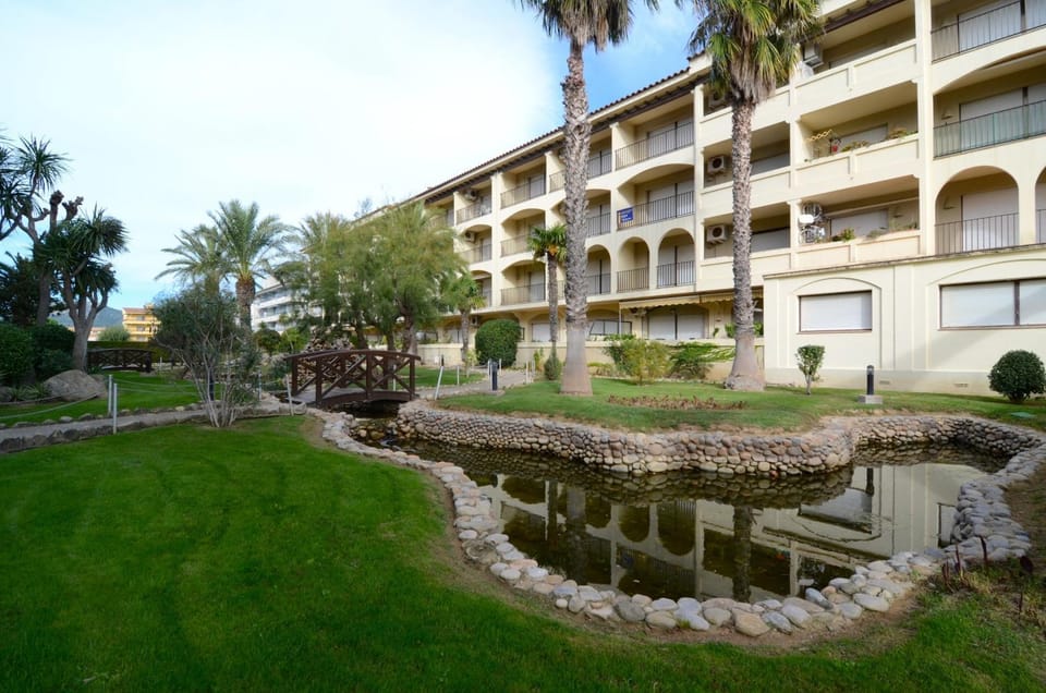 Patio, Garden, Garden view