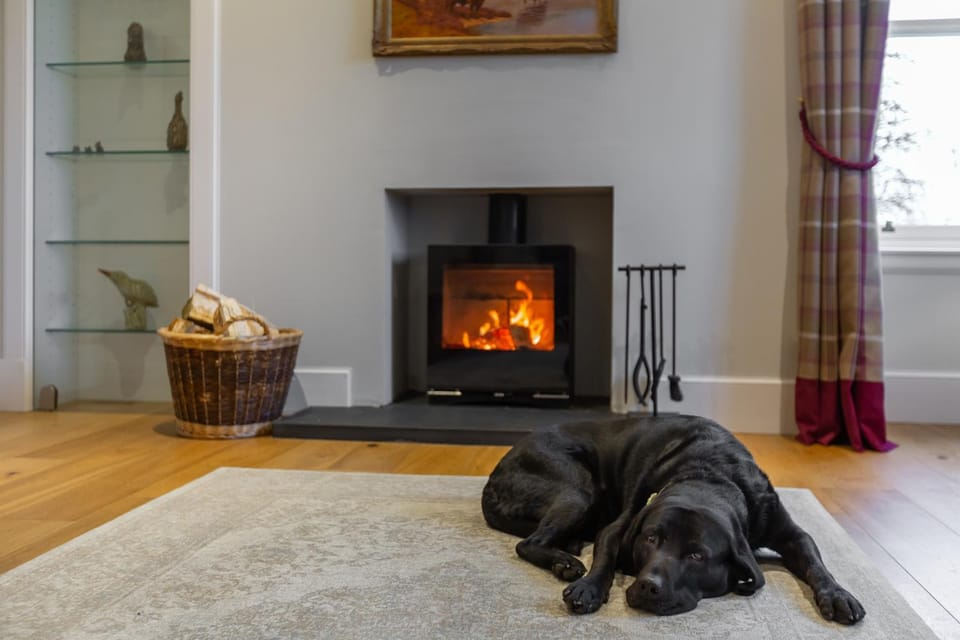 Living room, Pets, fireplace