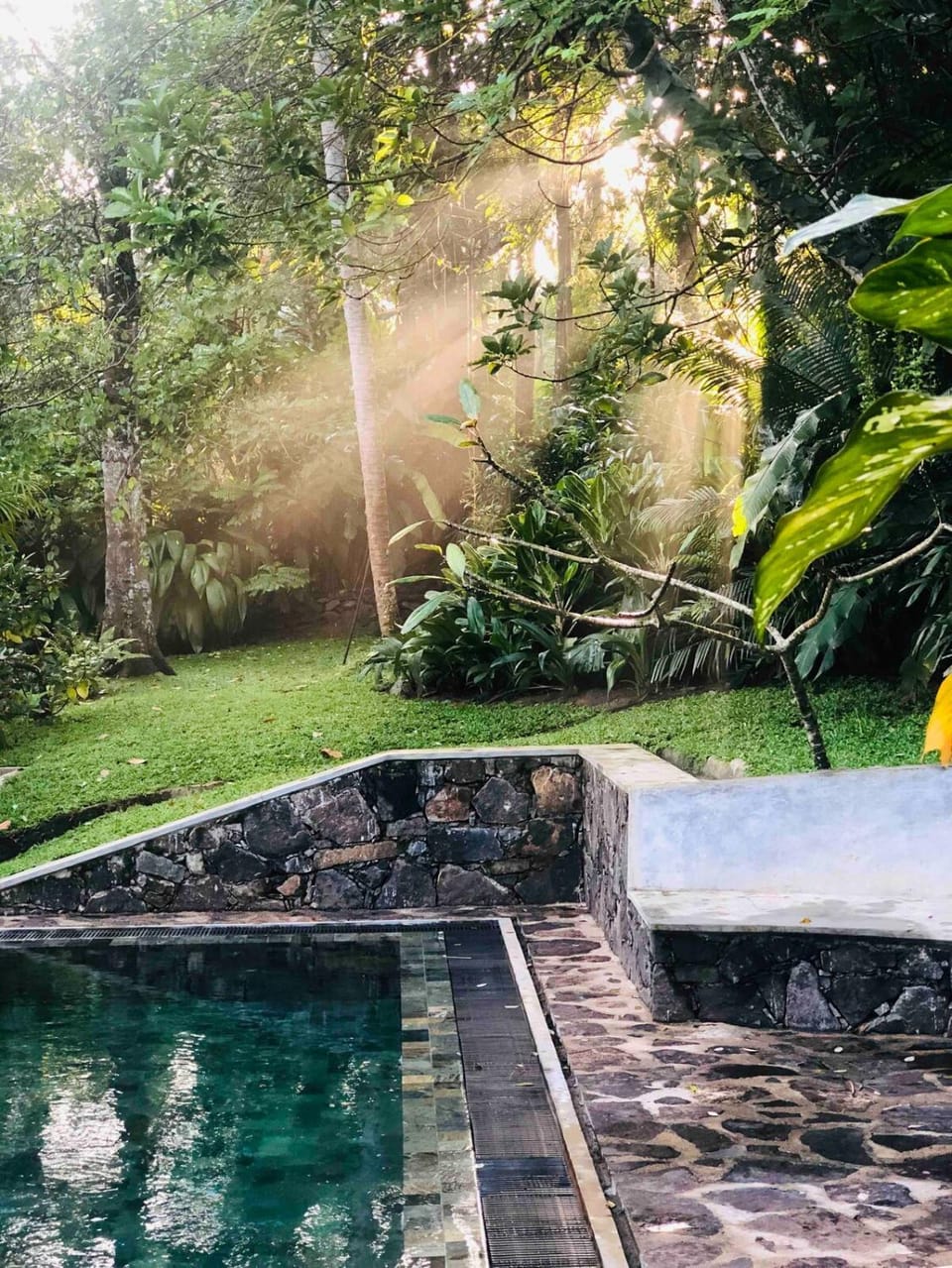 Garden view, Swimming pool