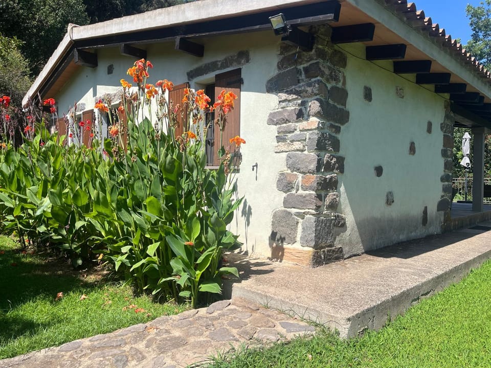 Property building, Garden