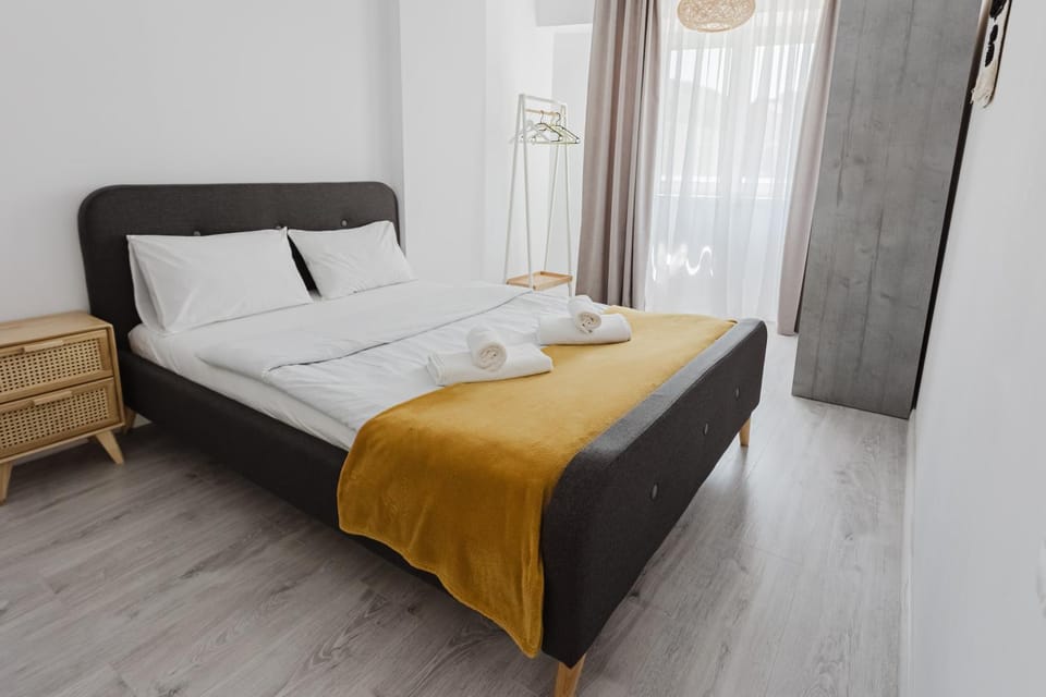 City Center Accommodation 103 Apartment in Timiș County