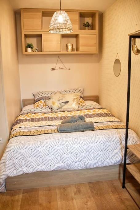 STUDIO EXOTIC - PROCHE GARE - WiFi - NETFLIX Apartment in Amiens