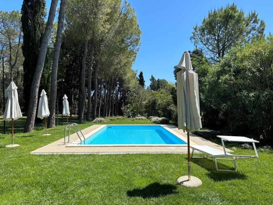 Garden view, Swimming pool, sunbed
