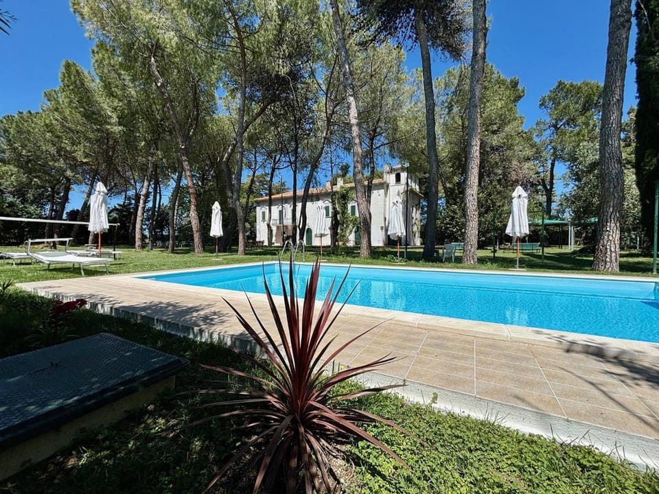 Garden, Garden view, Swimming pool