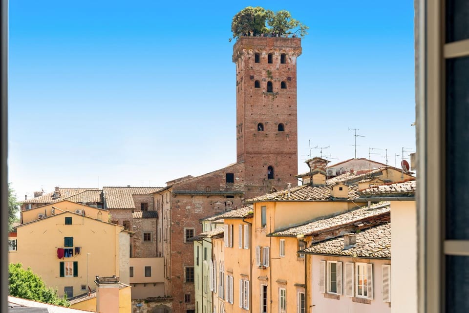 City view, City view