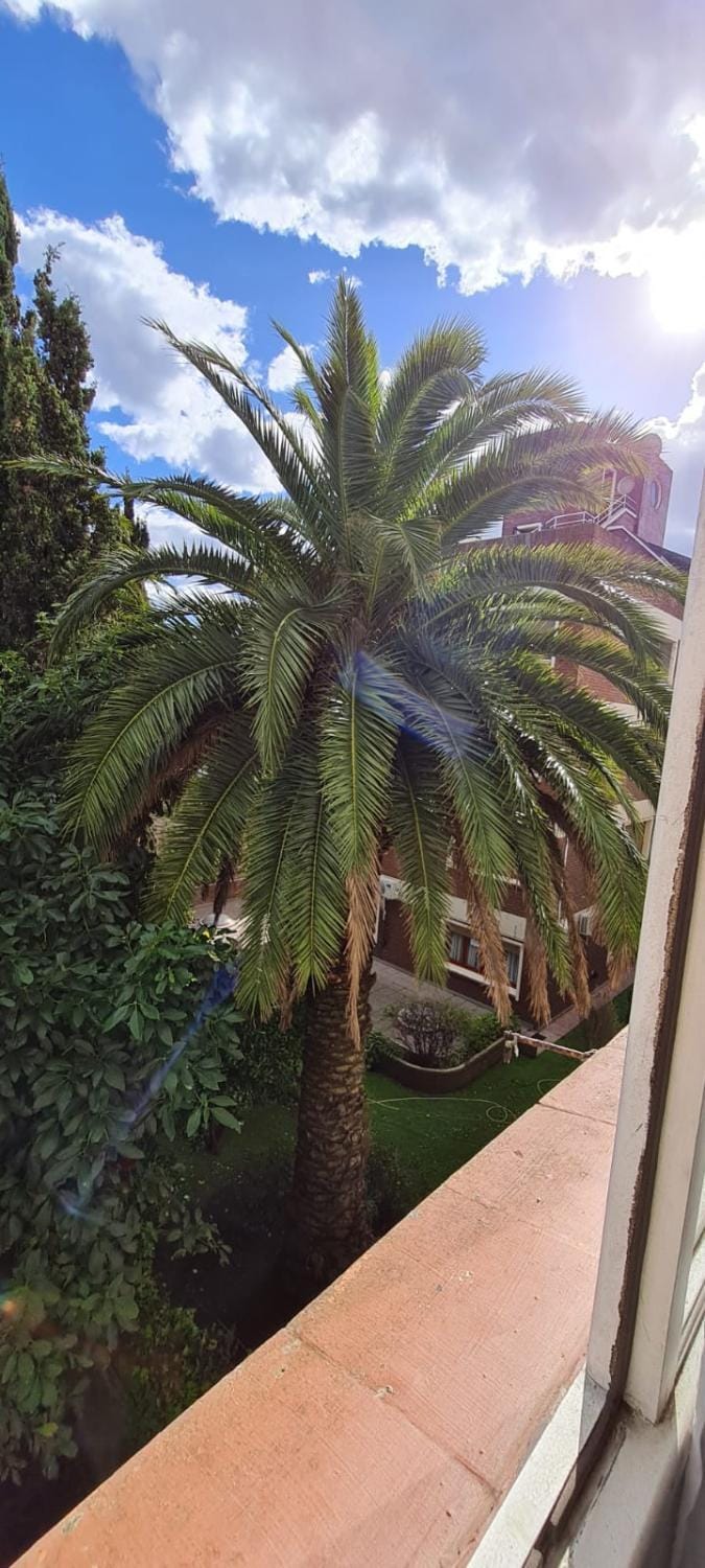 Natural landscape, Garden view