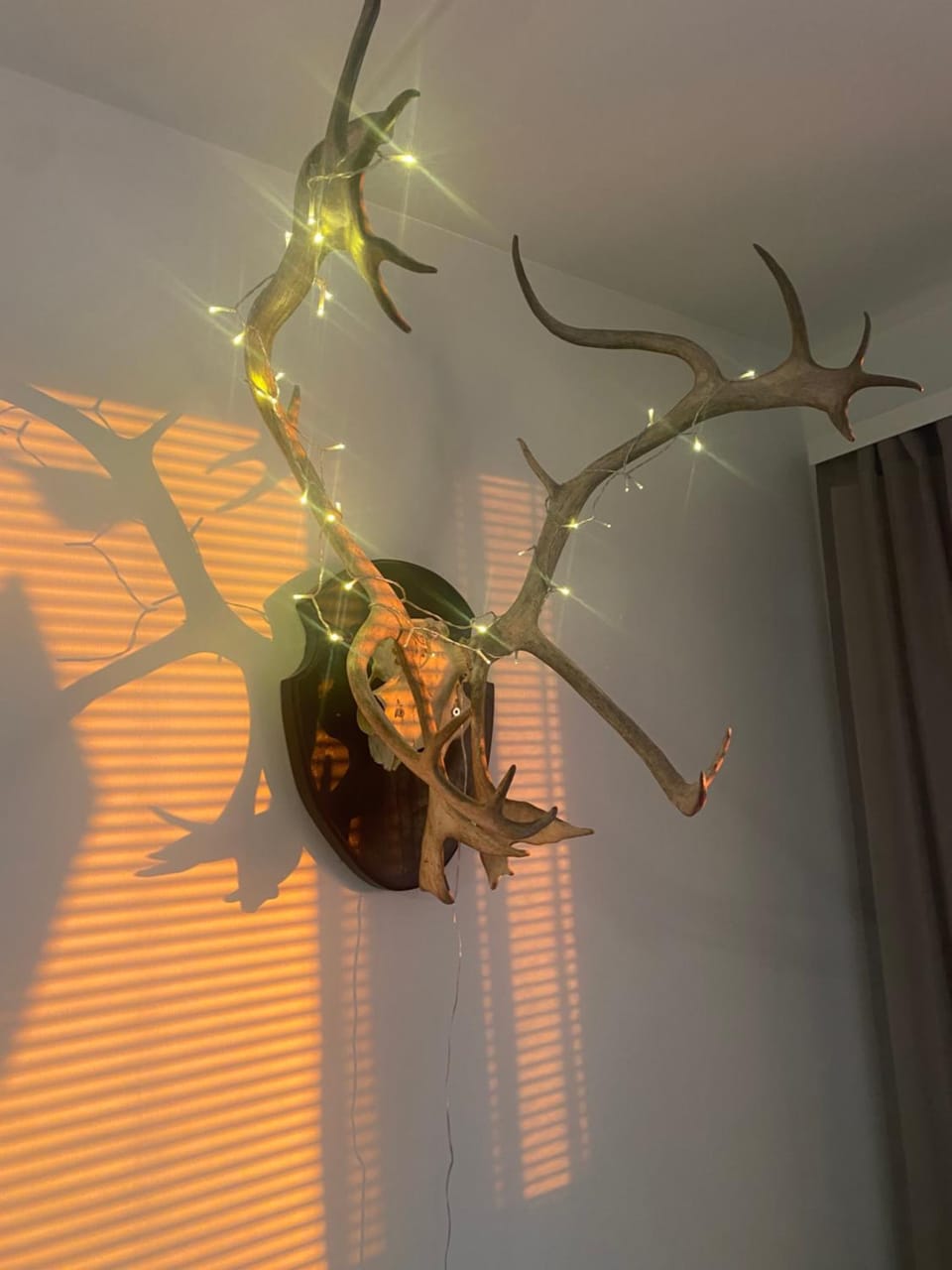Decorative detail