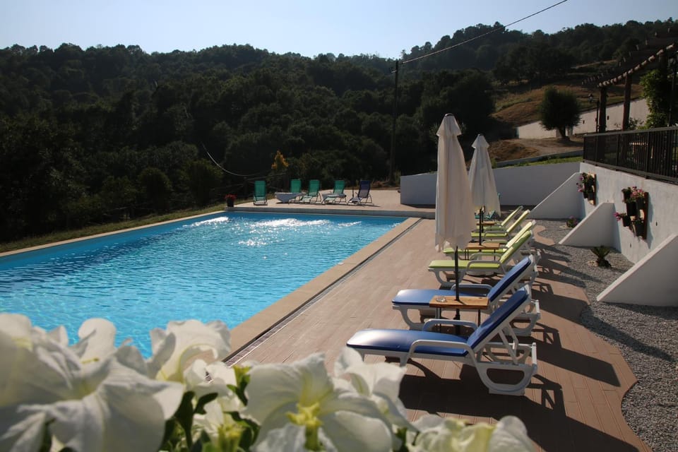 Day, Pool view, Swimming pool, Swimming pool, sunbed
