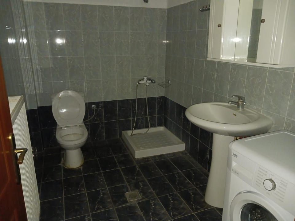 Shower, Toilet, Bathroom, washing machine