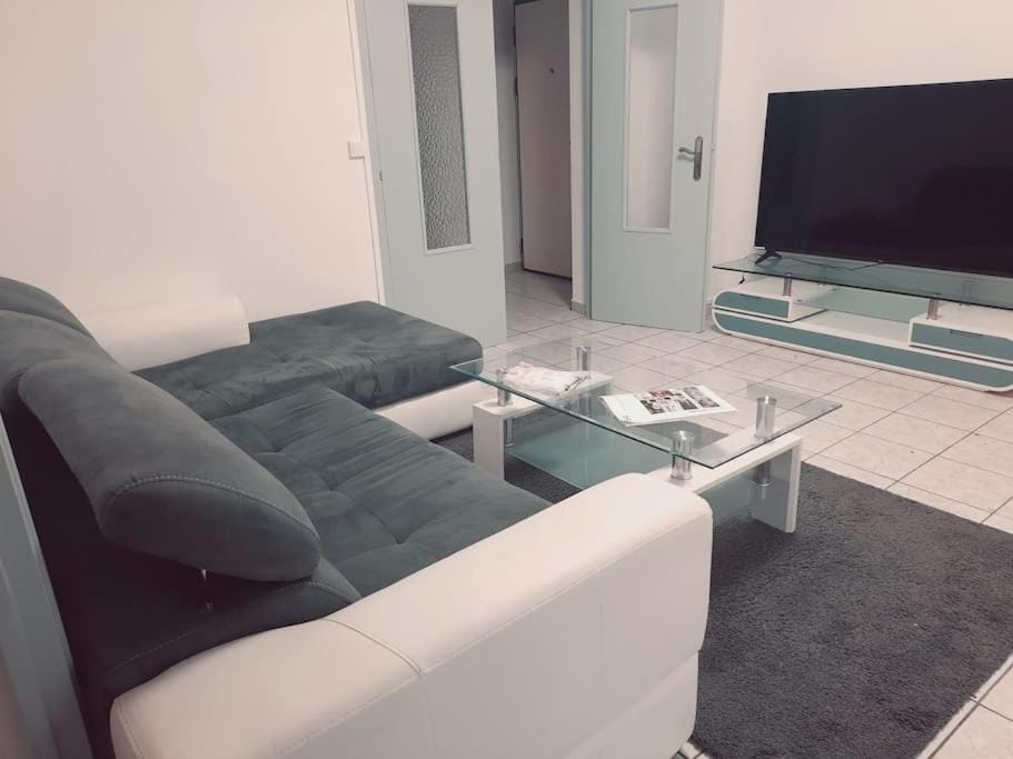 les Yuccas, Appartement Montpellier F3 Apartment in Lattes