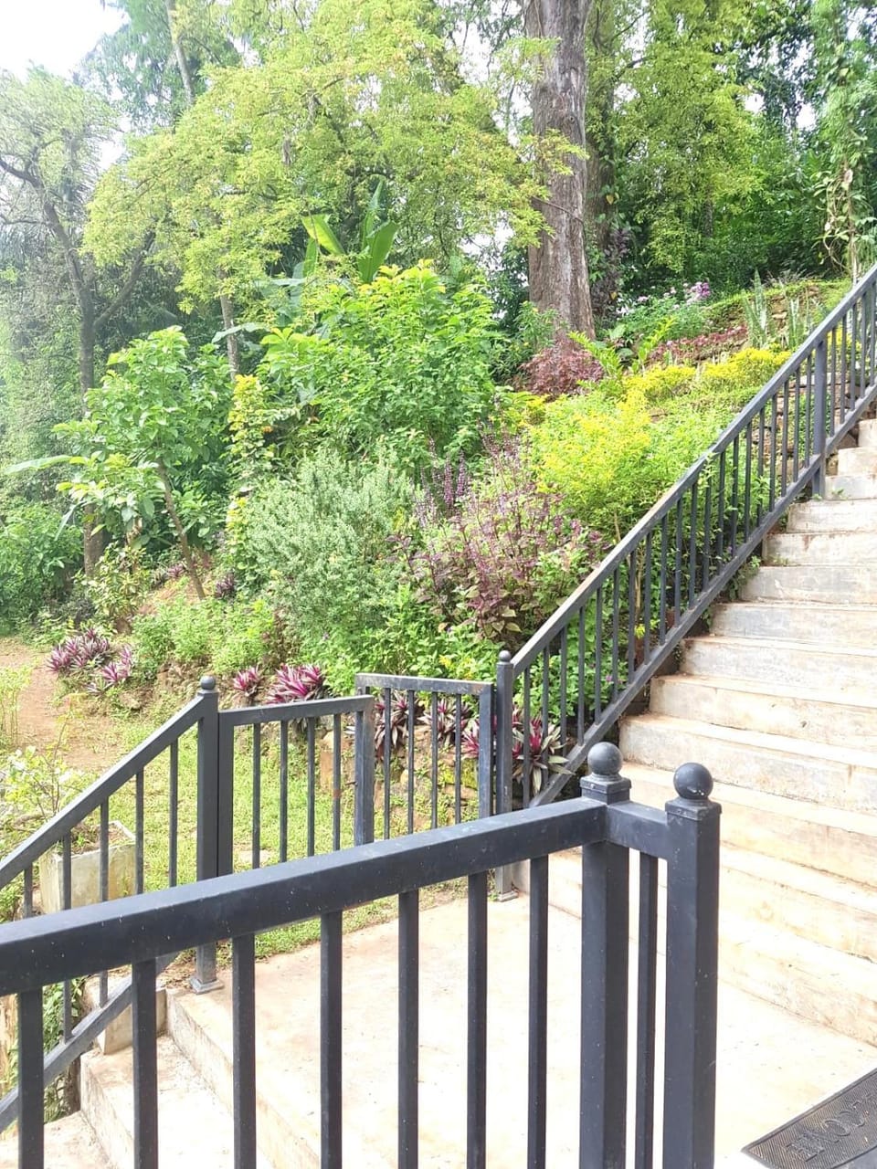 Day, Natural landscape, Garden, Garden, Garden view