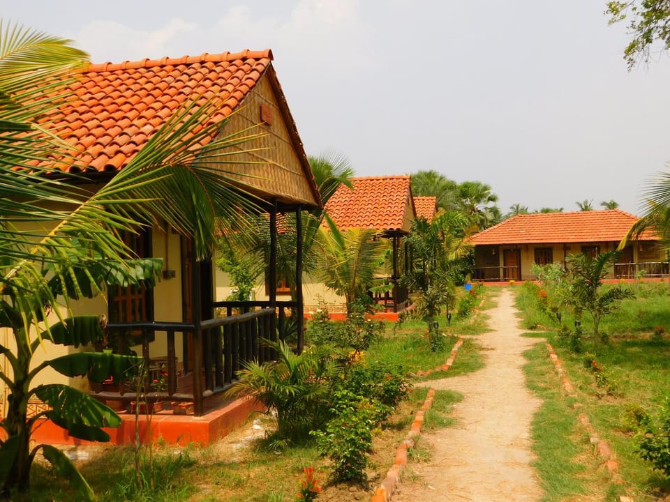 Property building, Day, Natural landscape, Garden, Garden view