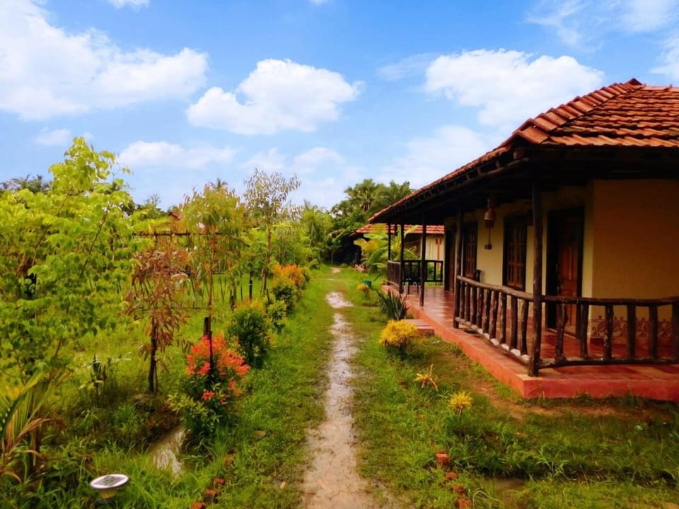 Natural landscape, Garden, Garden view