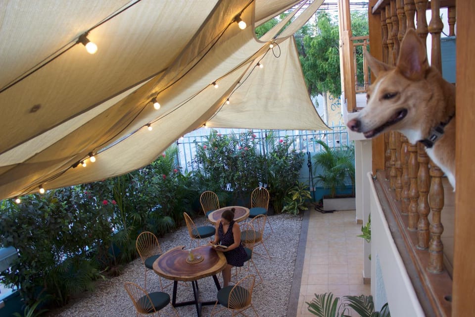 Patio, Day, Garden, Balcony/Terrace, Pets
