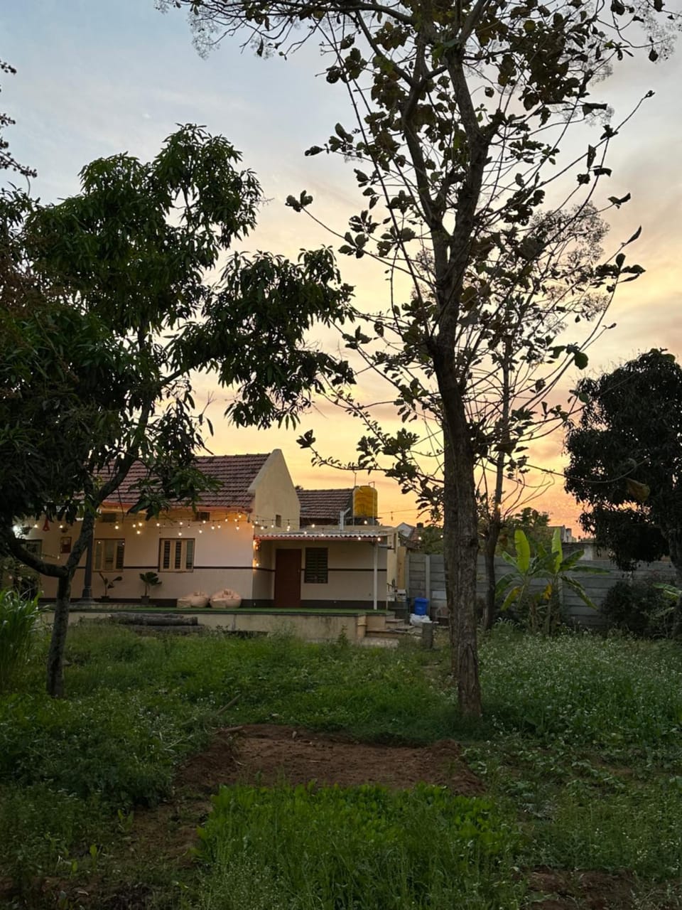 Natural landscape