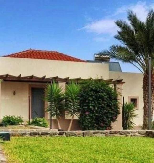 Property building, Garden, Garden view