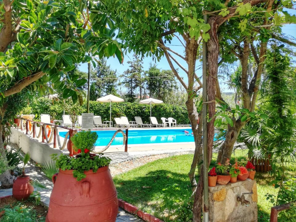 Garden view, Swimming pool