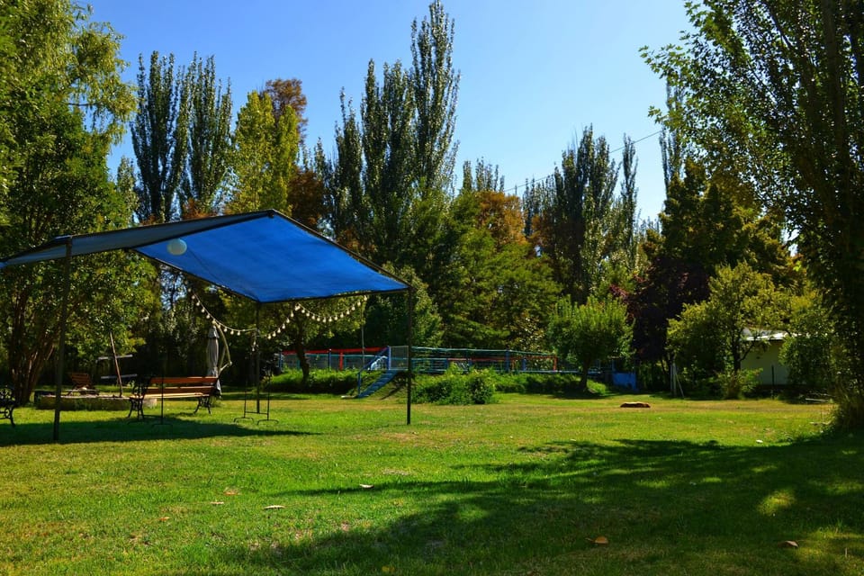 Spring, Day, Natural landscape, Garden, Garden, Garden view