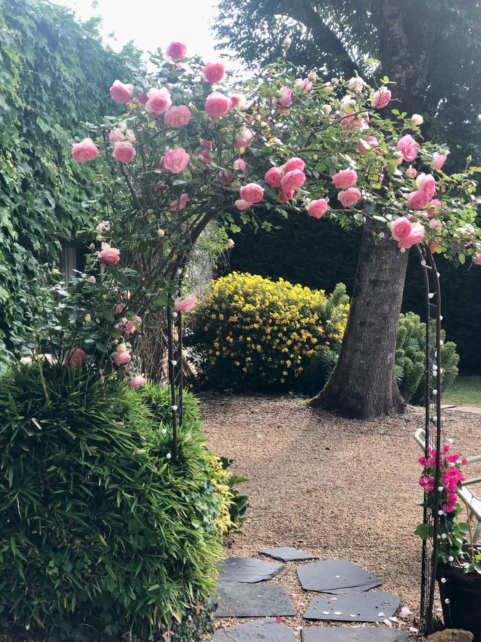 Garden view