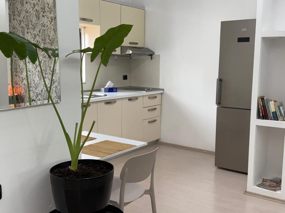 Ani Apartment with Fireplace Apartment in Tirana