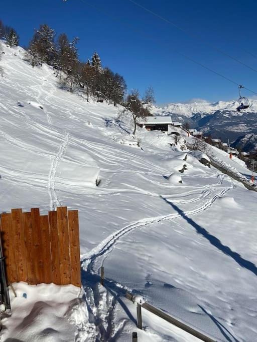 Chalet , Thyon Les Collons, 4 Vallées Chalet in Canton of Valais
