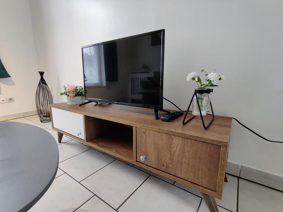 TV and multimedia