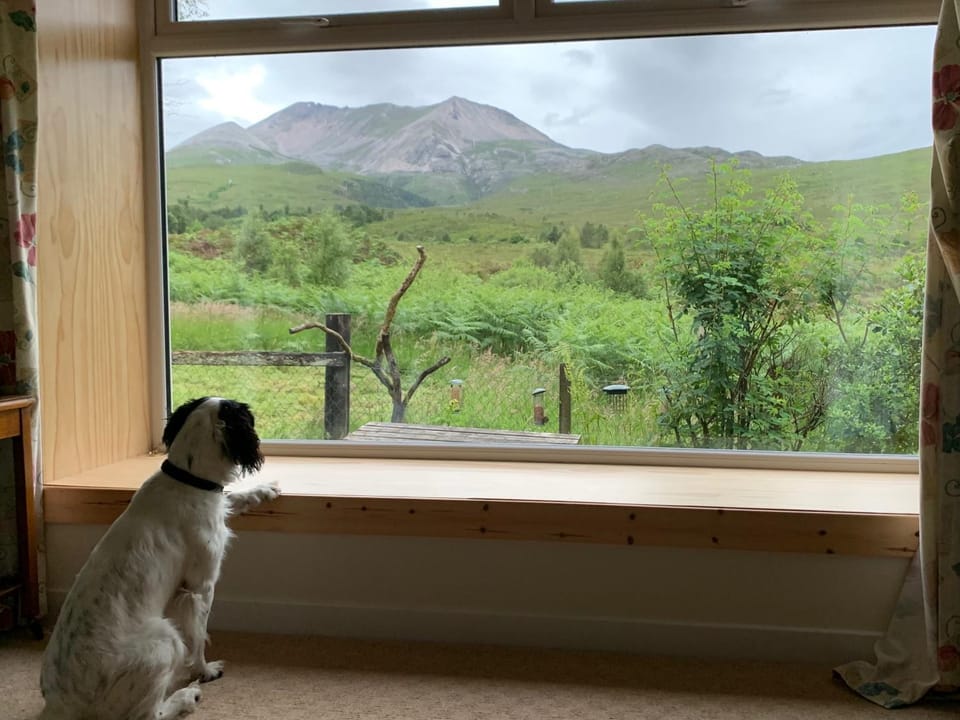 View (from property/room), Pets