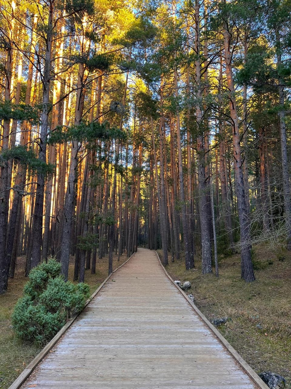 Natural landscape