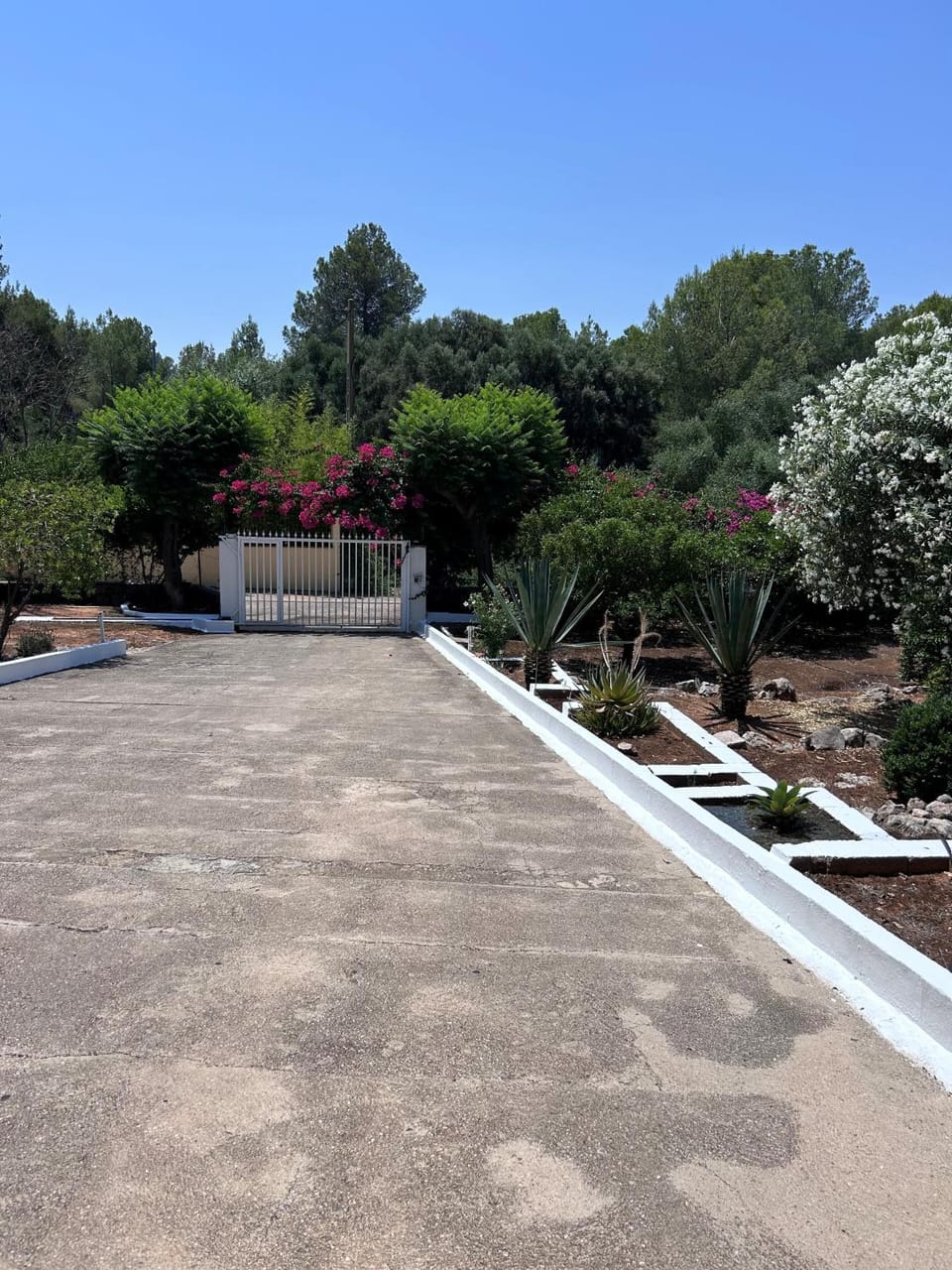 Villa Célia Alzira Villa in Valencian Community