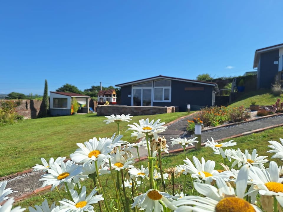 Spring, Garden, Garden view