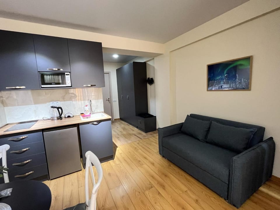 Kitchen or kitchenette, Living room, Seating area, Dining area, minibar, pet friendly, stove