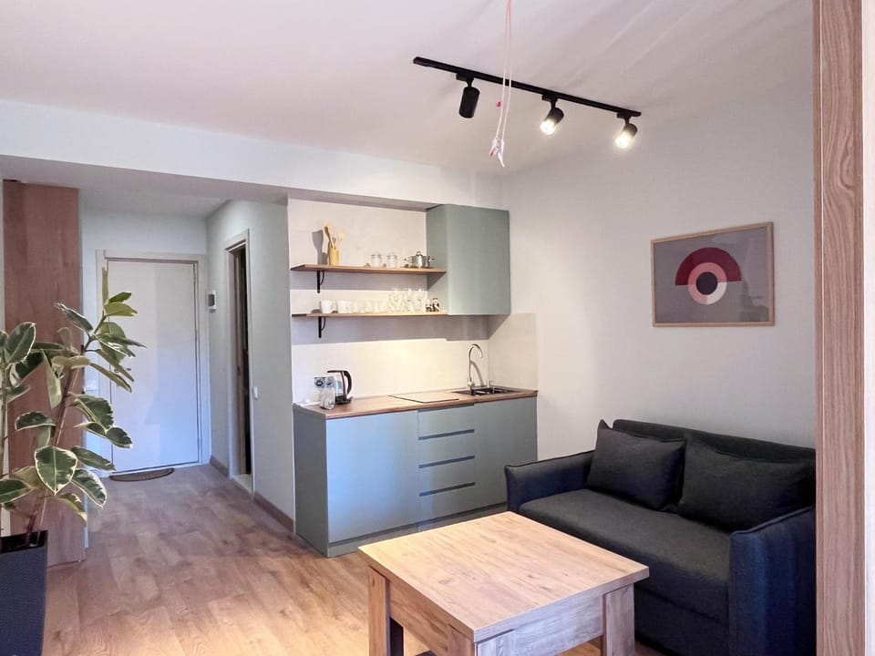 Kitchen or kitchenette, Living room, Seating area