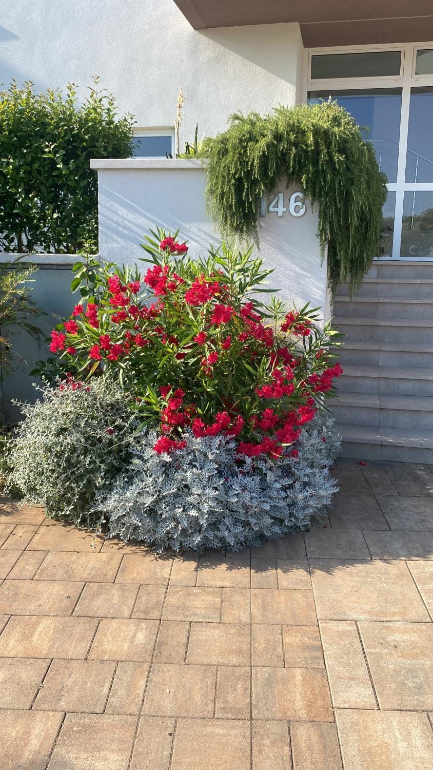 Spring, Garden