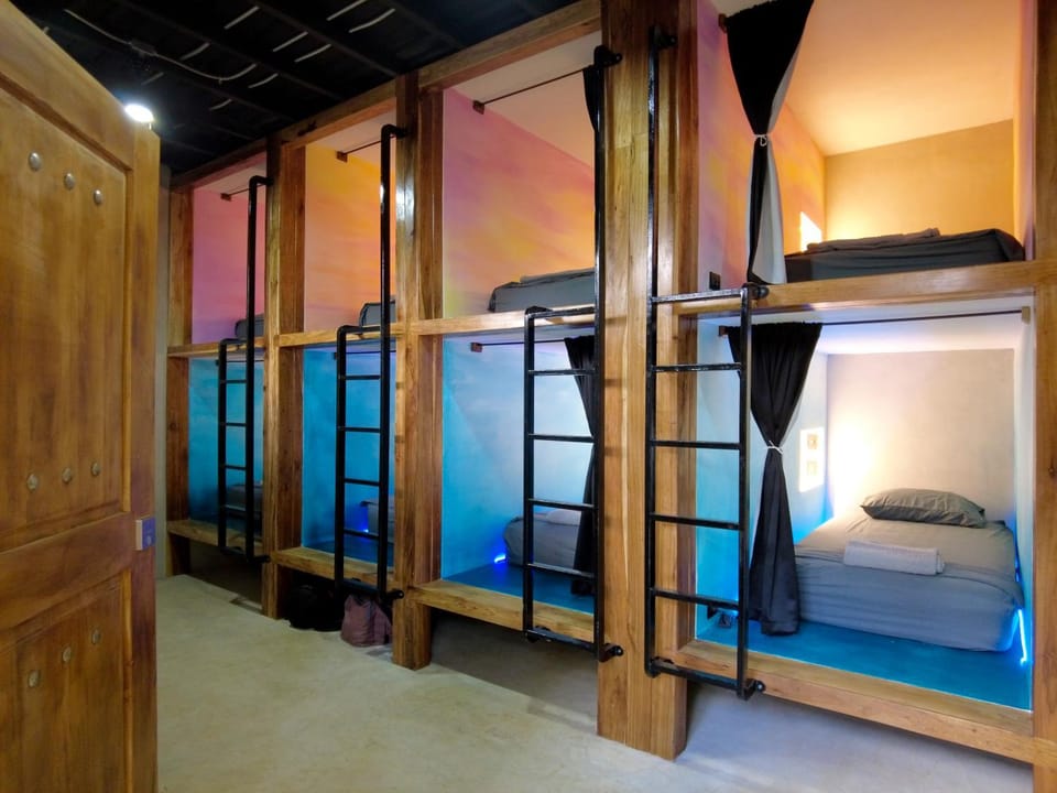 Bed, Photo of the whole room, Bedroom, bunk bed
