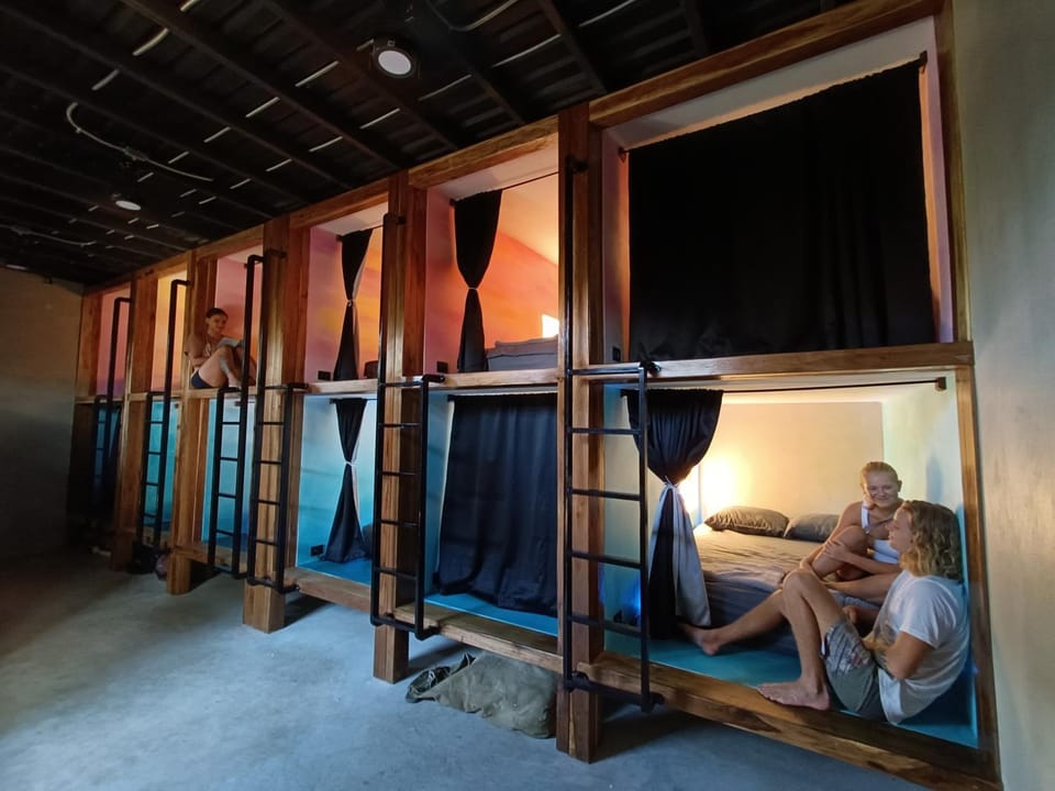 Bed, People, Photo of the whole room, group of guests, bunk bed