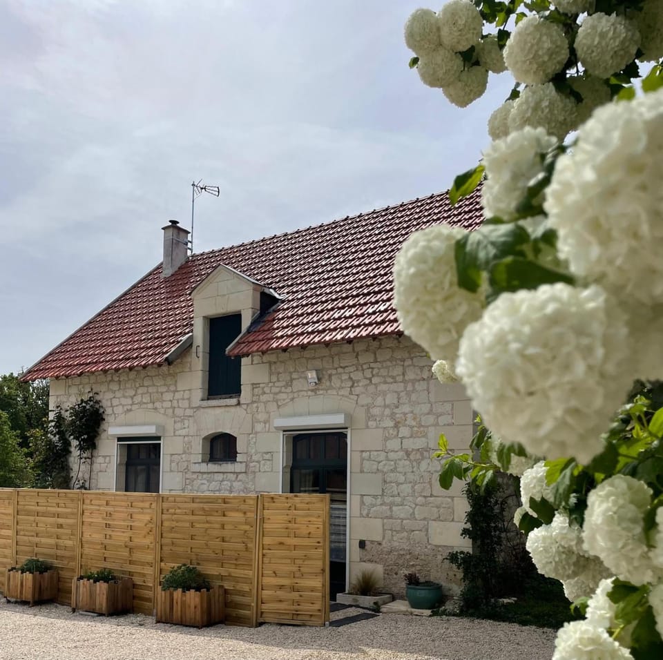 Property building, Spring, Garden