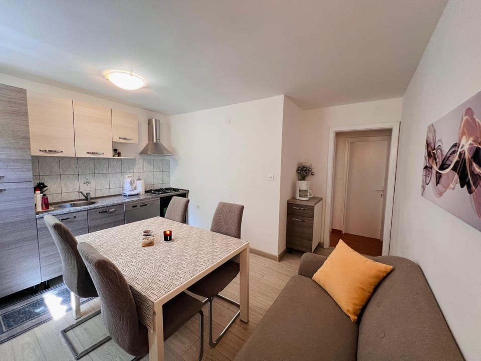 Kitchen or kitchenette, Living room, Seating area, Dining area, dishwasher, stove