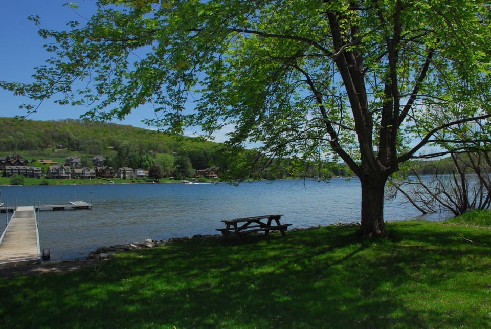 Neighbourhood, Natural landscape, Garden, Lake view